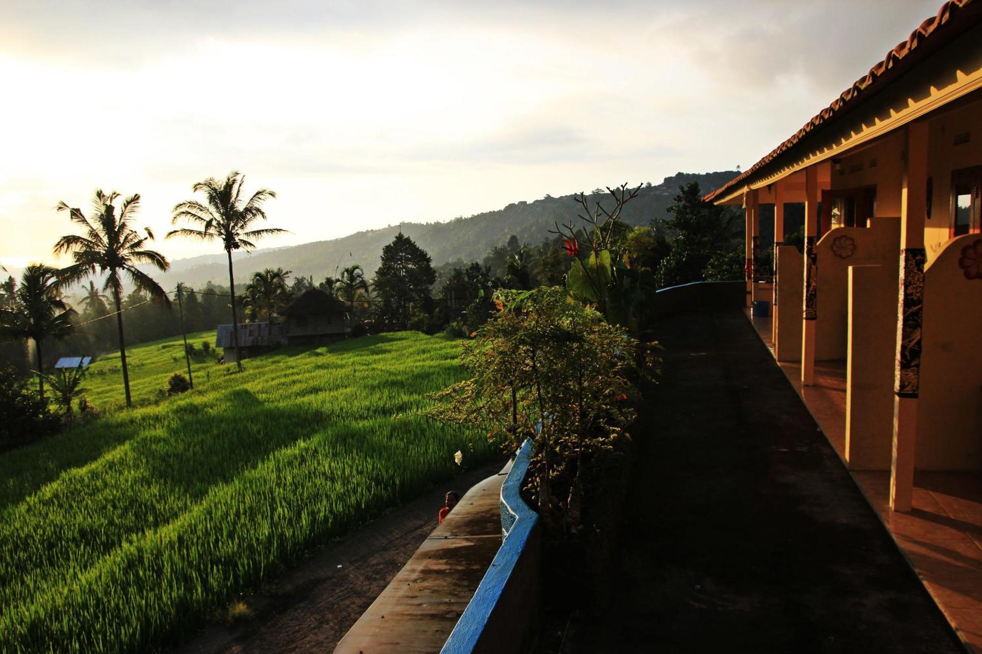 Gangga Homestay Munduk  Ngoại thất bức ảnh